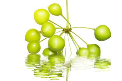 Close-up of grapes in water