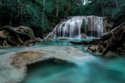 Scenic view of waterfall in forest