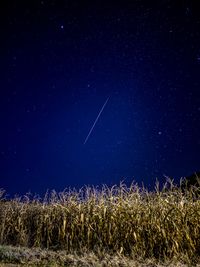 Scenic view of field against sky at night