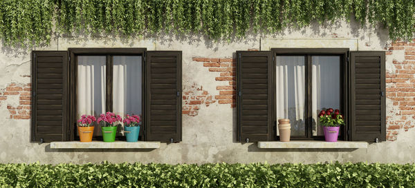 Flower pot on window sills of house