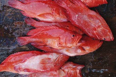 Red snapper on a brown table