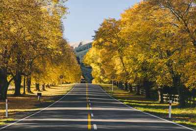 Road between christchurch and banks peninsula during autumn, nz