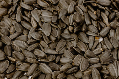 sunflower seed