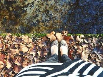 Low section of woman standing with dry leaves on edge over dirty pond