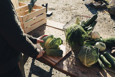 Midsection of mature female farmer cutting cabbage at table