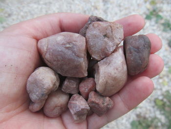 Close-up of hand holding ice cream