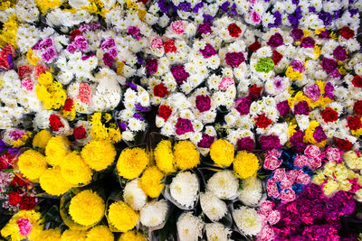 Full frame shot of multi colored flowering plants