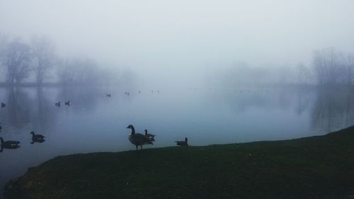 Scenic view of lake against sky during foggy weather