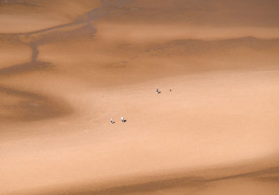 Aerial view of tourists on barren landscape