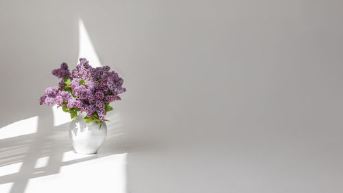 Close-up of christmas tree against white background