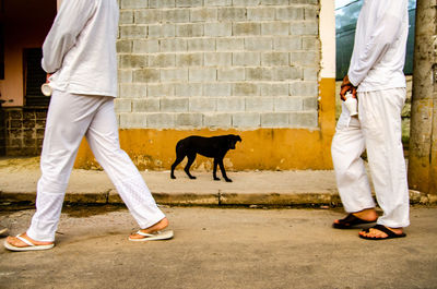 Low section of woman with dog walking on street