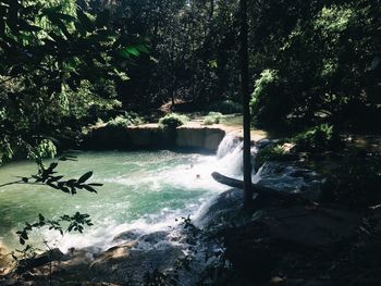 Scenic view of waterfall in forest
