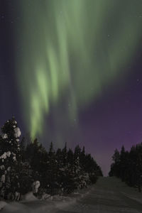 Scenic view of trees against sky at night