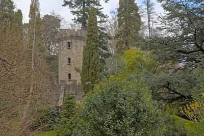 Old ruin building in forest