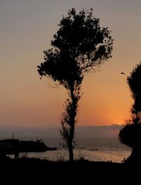 Silhouette tree by lake against sky during sunset