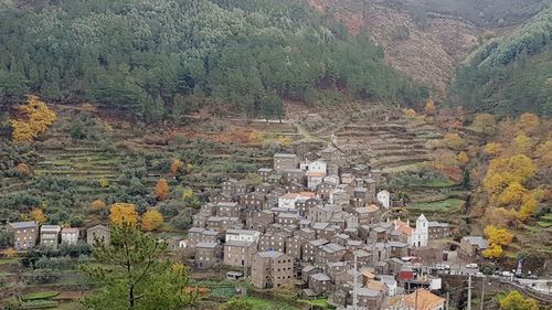 High angle view of houses during autumn