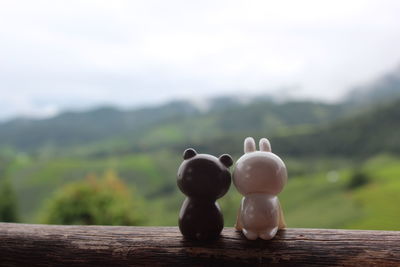 Close-up of animal figurines on wood against mountain