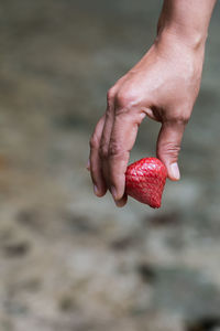 Close-up of hand holding strawberry
