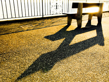 Low section of person with dog on shadow