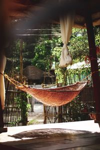 Clothes hanging from a tree