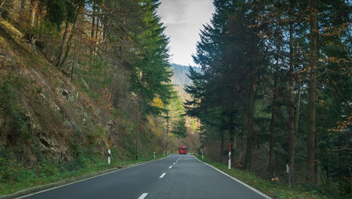 Country road amidst trees against sky