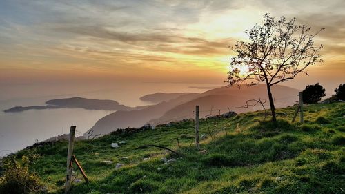 Scenic view of sea at sunset