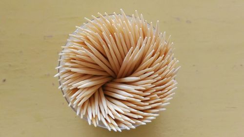 Directly above view of toothpicks