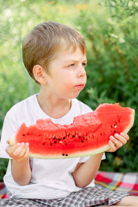 Boy eating watermelon white t-shirt. picnic with watermelons. bright red juicy watermelon.