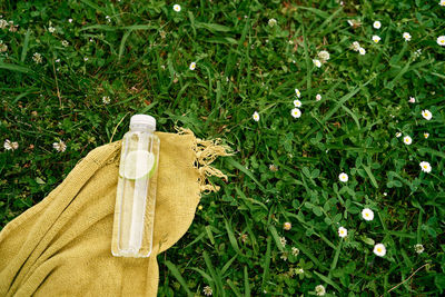 Close-up of hand on plant in field