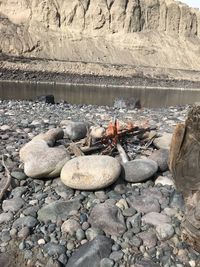 Pebbles by lake