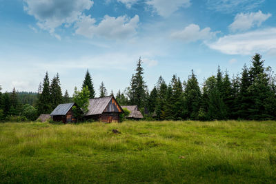 Old cottages on grassy field against trees in forest