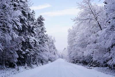 Snow covered street by trees against sky