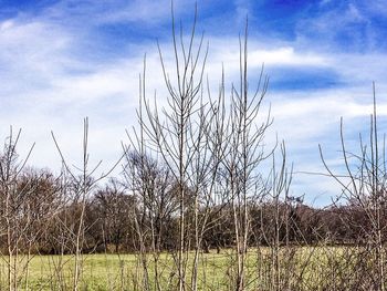 Scenic view of field against cloudy sky