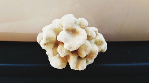 High angle view of white rose on table