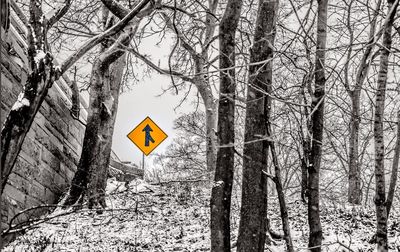 Road sign by tree against sky