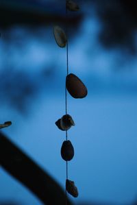 Low angle view of water drops hanging against blue sky