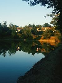 Reflection of trees in calm lake