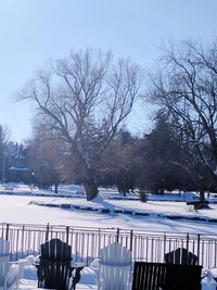 Bare trees against sky during winter