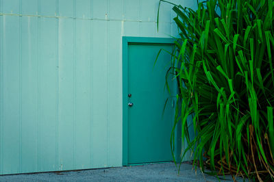 Closed door of a building