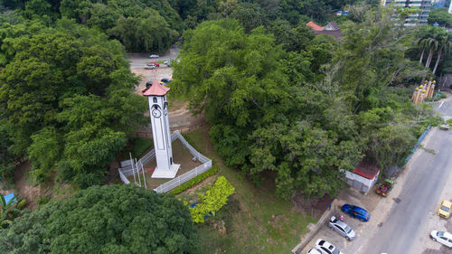 High angle view of road amidst trees in forest