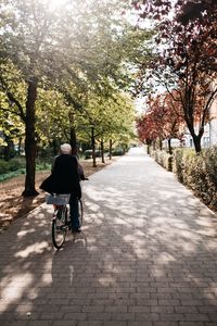 Rear view of man riding bicycle