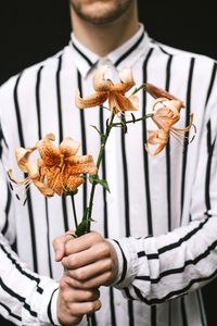 Close-up of hand holding rose against black background