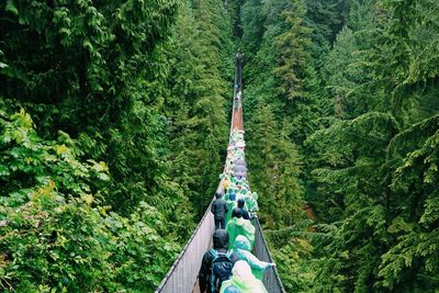 Footbridge amidst trees in forest