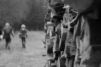 Rear view of people walking on logs