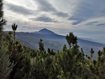 Scenic view of trees and mountains against sky