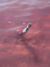 High angle view of sea