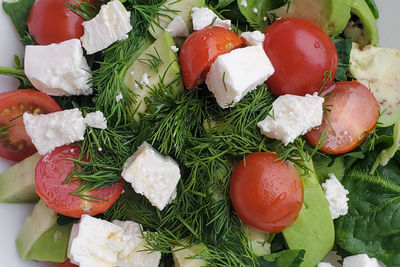 Healthy food, vegetable salad, cherry tomatoes, feta, herbs, high angle view of food on table