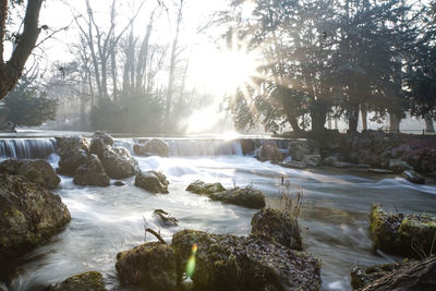 Scenic view of waterfall in forest