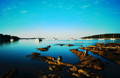 Sailboats in lake