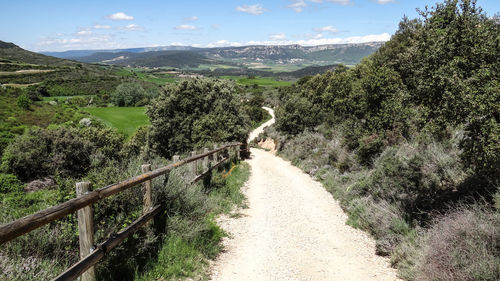 Panoramic view of road amidst trees against sky